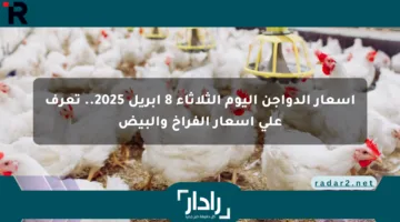 أسعار الدواجن اليوم الثلاثاء 8 أبريل 2025.. تعرف على أسعار الفراخ والبيض